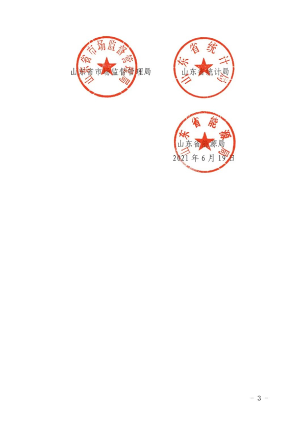 山東省人民政府辦公廳關(guān)于加強(qiáng)“兩高”項(xiàng)目管理的通知（附兩高項(xiàng)目管理目錄）